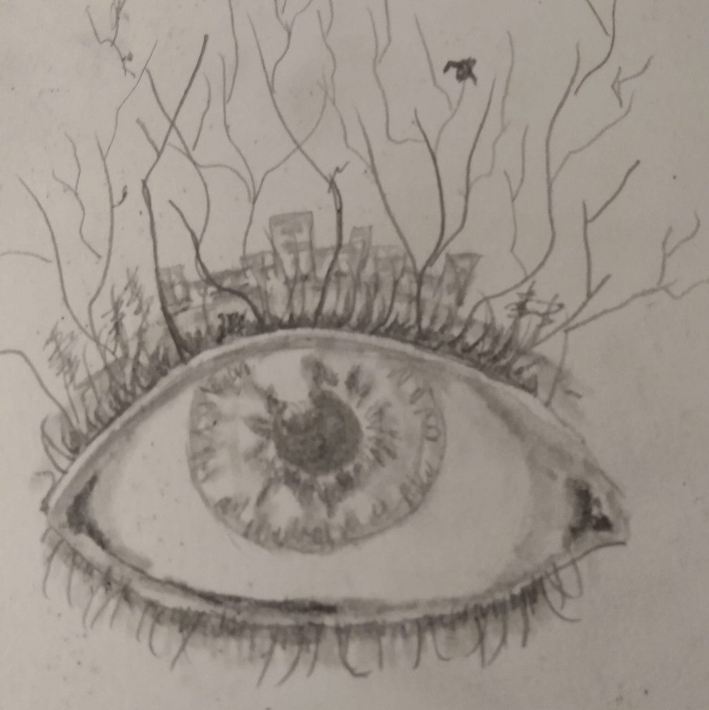 Outsiders Art